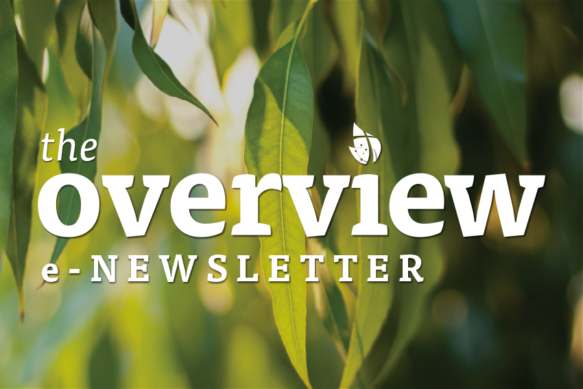 The  Overview <br> e-Newsletter