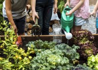 Mary MacKillop Community Garden